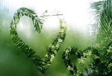 勒沃库森对阵斯图加特,这场德甲对决有哪些看点?