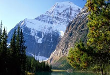 葡萄牙对阵加纳,这场世界杯对决有哪些看点和关键因素?